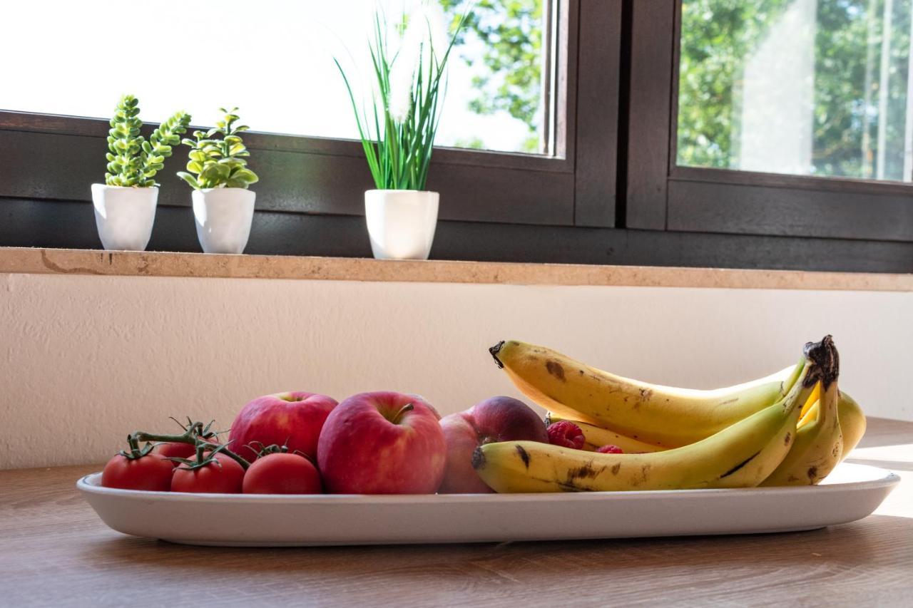 Ferienwohnung Alpaka Blick Schneppenbach Екстериор снимка