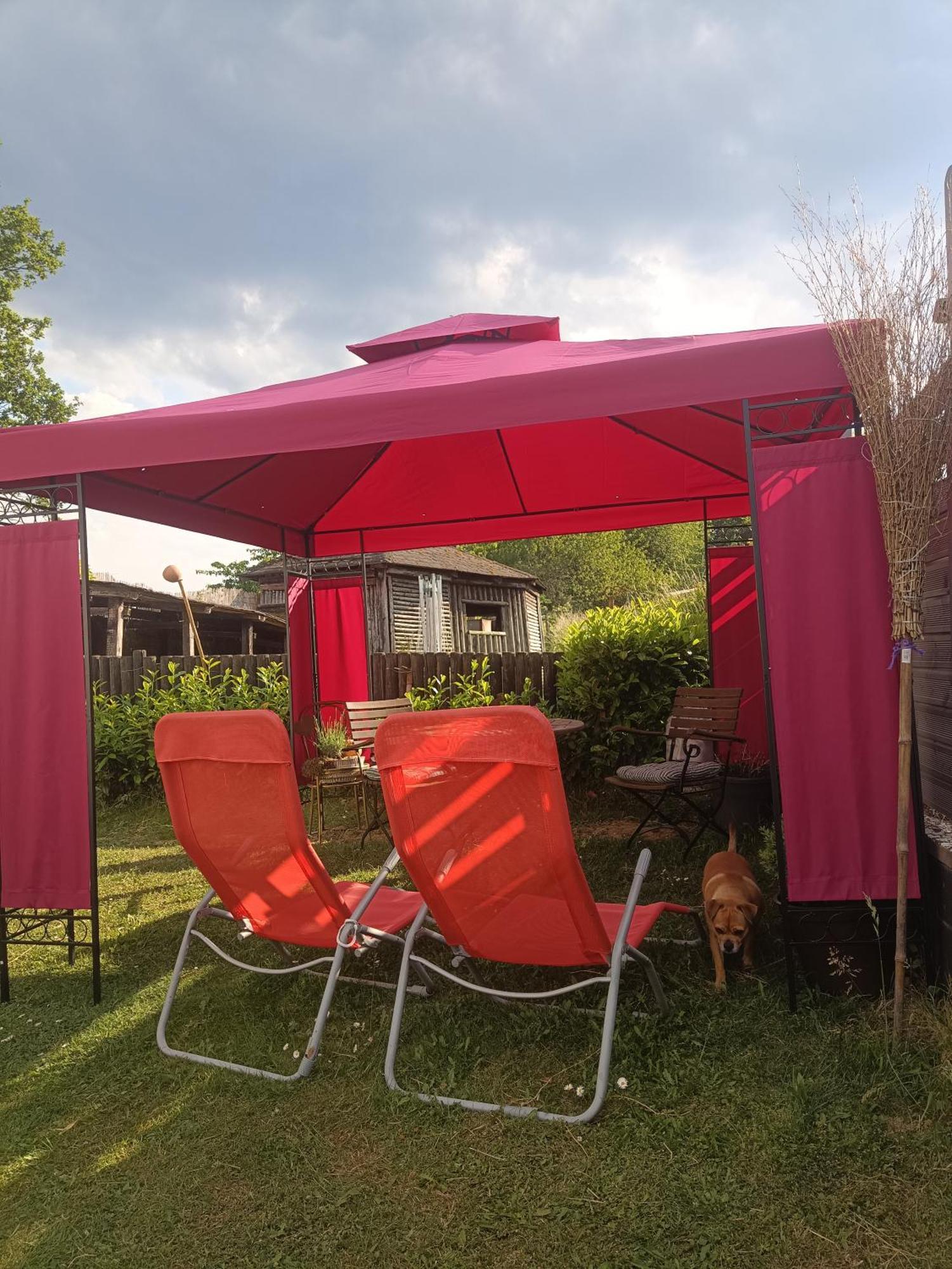 Ferienwohnung Alpaka Blick Schneppenbach Екстериор снимка